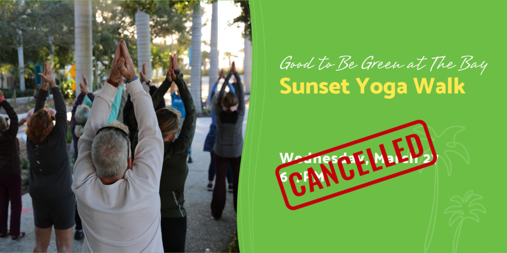 Sunset Yoga Walk - The Bay Sarasota